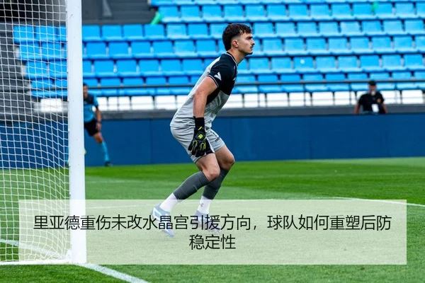 里亚德重伤未改水晶宫引援方向,球队如何重塑后防稳定性